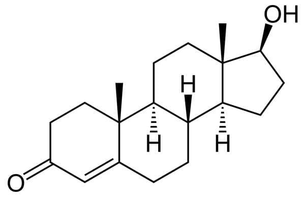 Testosterone molecule on a white background