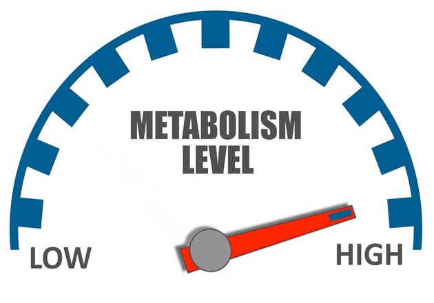 meter for metabolism