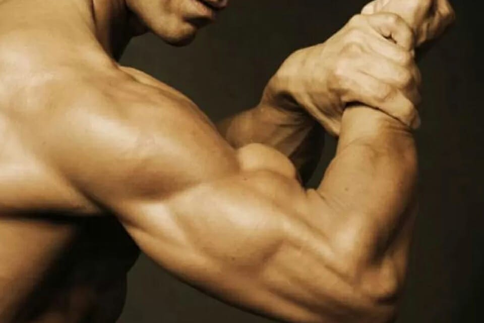 training biceps and triceps