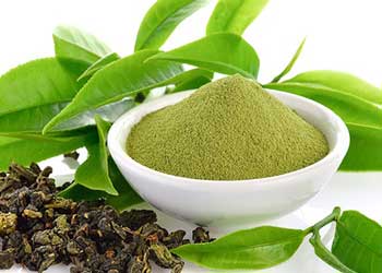 Green Tea Extract
