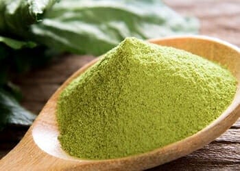 green tea extract2