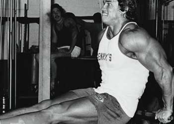 Triceps