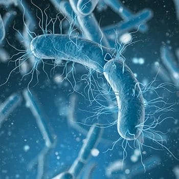 Probiotics in blue color
