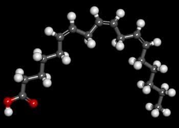 Gamma Linolenic Acid