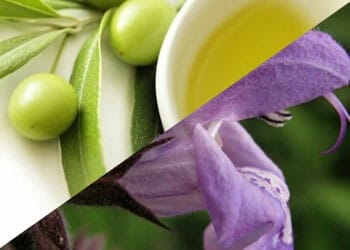 Olive Leaf Extract and Salvia Officinalis