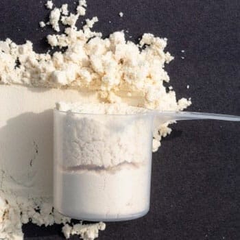 protein powder in a scoop