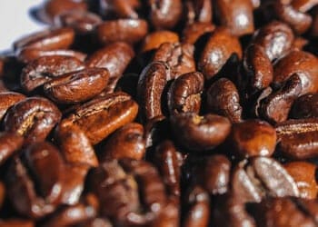 a bowl full of coffee beans