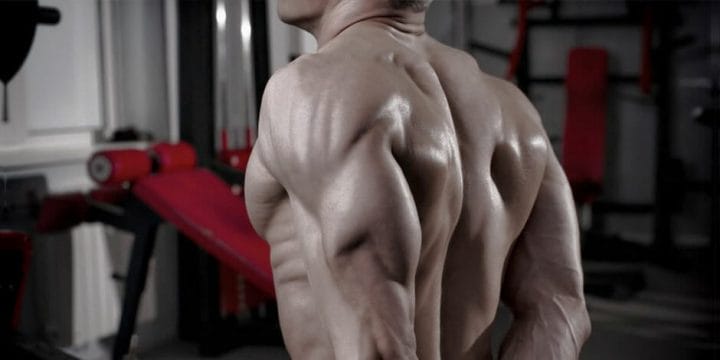 guide to long head tricep workout