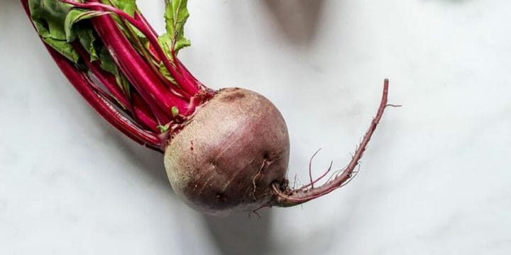 using beets as a supplement before exercise