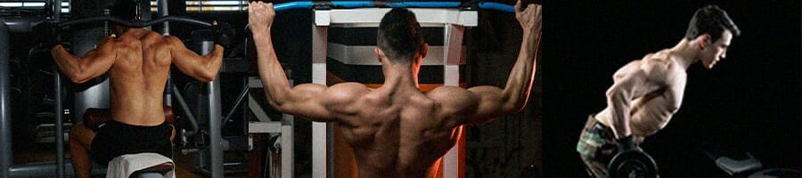 Alternatives for straight arm lat pulldown