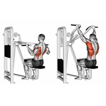 Working muscles when performing wide grip pulldown