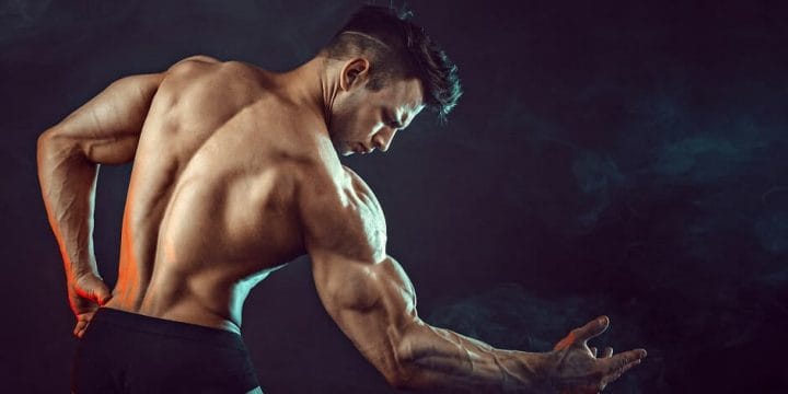 building muscles without protein