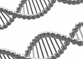 black and white vector image of genetic cells
