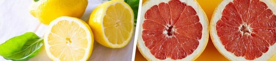slices of lemon and grapefruit