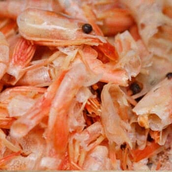 Chitosan or shrimp shells peeled off