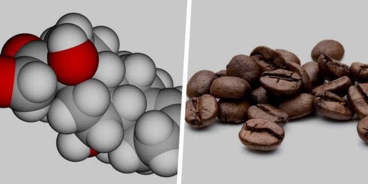 Your guide to Cortisol and Caffeine