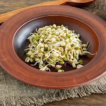 green pea sprouts in a brown plate