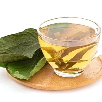 fresh green tea in a cup
