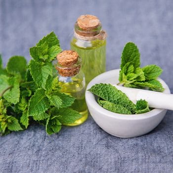 bowl and bottle of nettle root extract