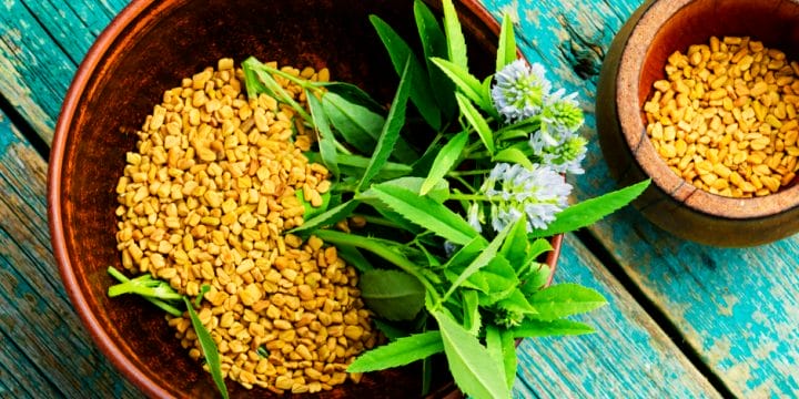 Your guide to fenugreek and testosterone