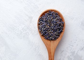 lavender in a spoon