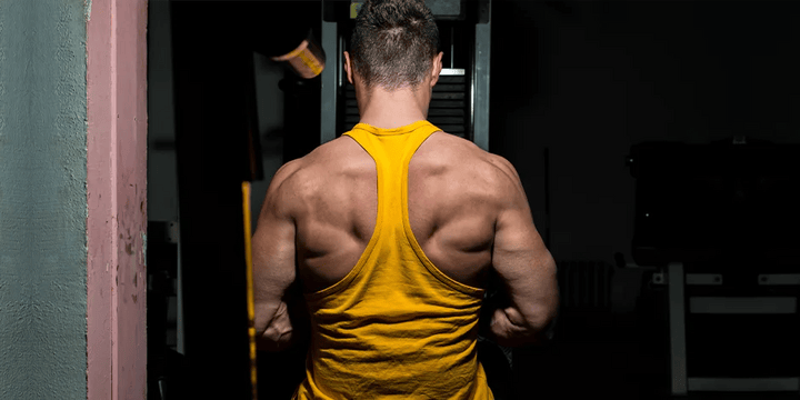 Your guide to Posterior Delt Exercises