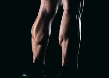 calves muscles