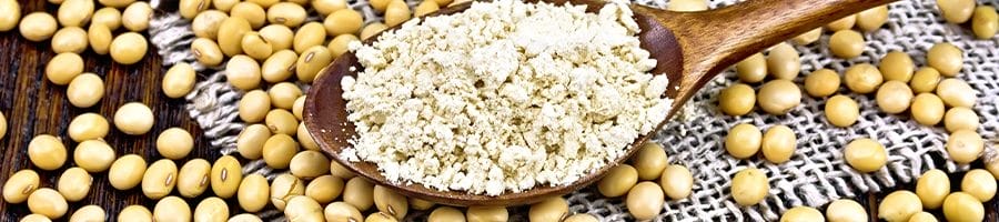 spoonful of protein powder