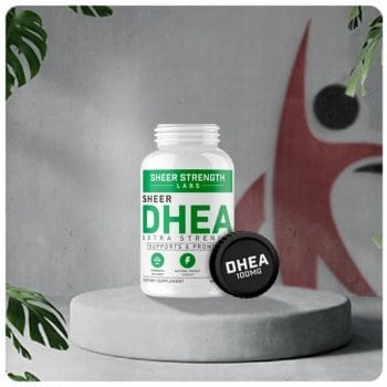Extra Strength DHEA by Sheer Strength Store