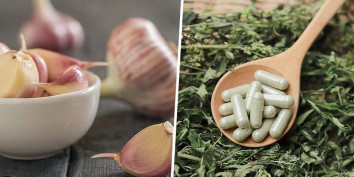 Your best guide to garlic supplements