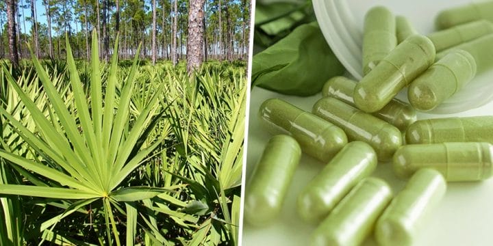 Your best guide to saw palmetto supplements