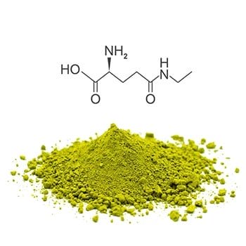 L-Theanine powder extract