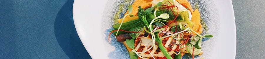 Plant-based meal served on a plate