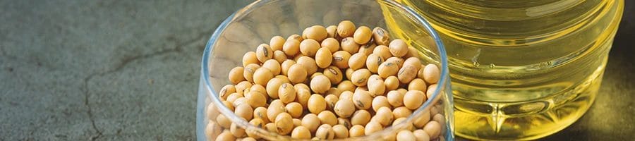 Close up shot of soy beans on a glass bowl
