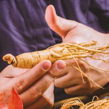 Close up shot of a person holding ginseng