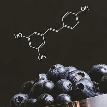 A close up shot of blueberries with Resveratrol graphic