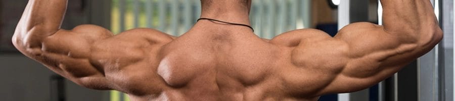 Middle-Delt Exercises flexing shoulder and back muscles