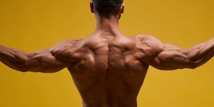 Man flexing back muscles and triceps