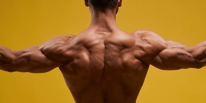 Showing back muscles