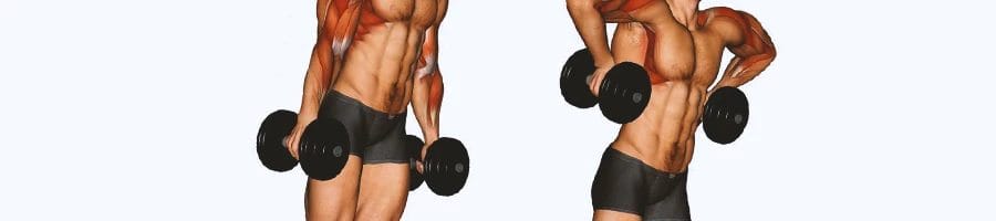 A step by step guide on how to do monkey row exercises