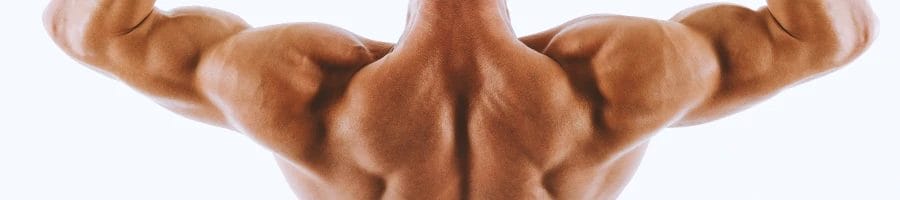 Close up shot of back muscles of buff person