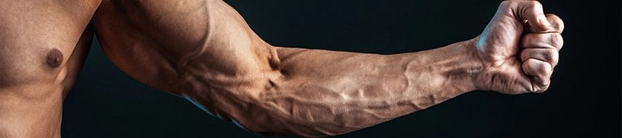 Showing arm muscles with veins