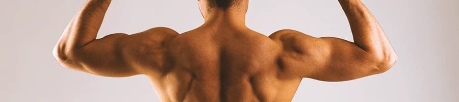 A person with good back muscles