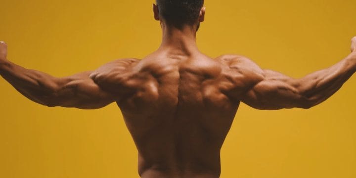 A person with good back muscles and good lower trap muscles