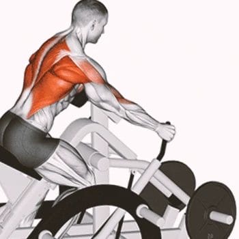 A graphic of a plate loaded row workout