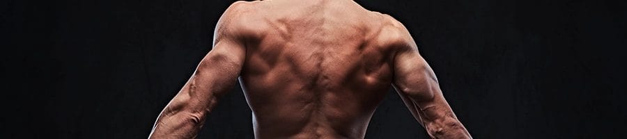 Showing back and tricep muscles