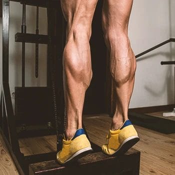 A person doing calf raises in the gym
